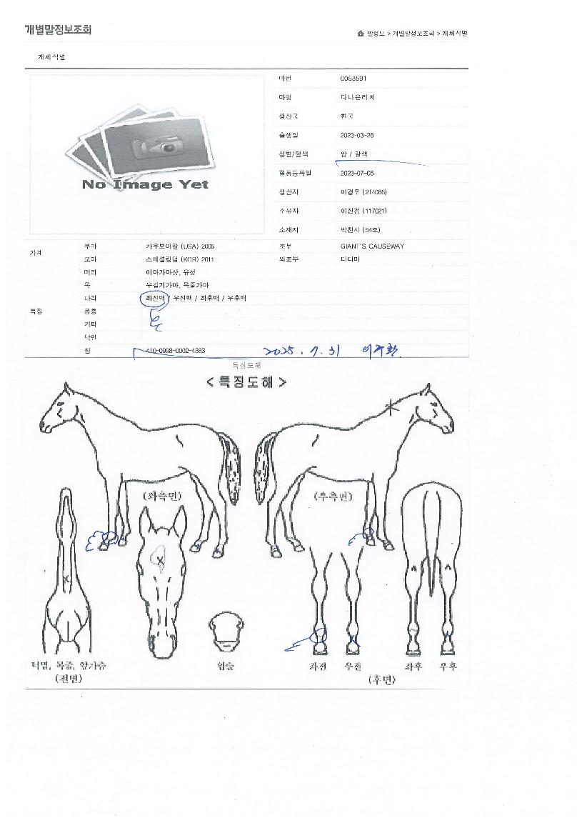 ´Ù³ªÀº¸®Ä¡ÀÇ Ãø¸é,¿ì¸é,µÞ¸é,µÎ»ó,´Ù¸®ÀÇ Æ¯Â¡µµÇØ