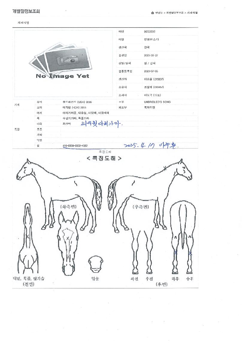 ¿µ¿øÇѽºÅ¸ÀÇ Ãø¸é,¿ì¸é,µÞ¸é,µÎ»ó,´Ù¸®ÀÇ Æ¯Â¡µµÇØ