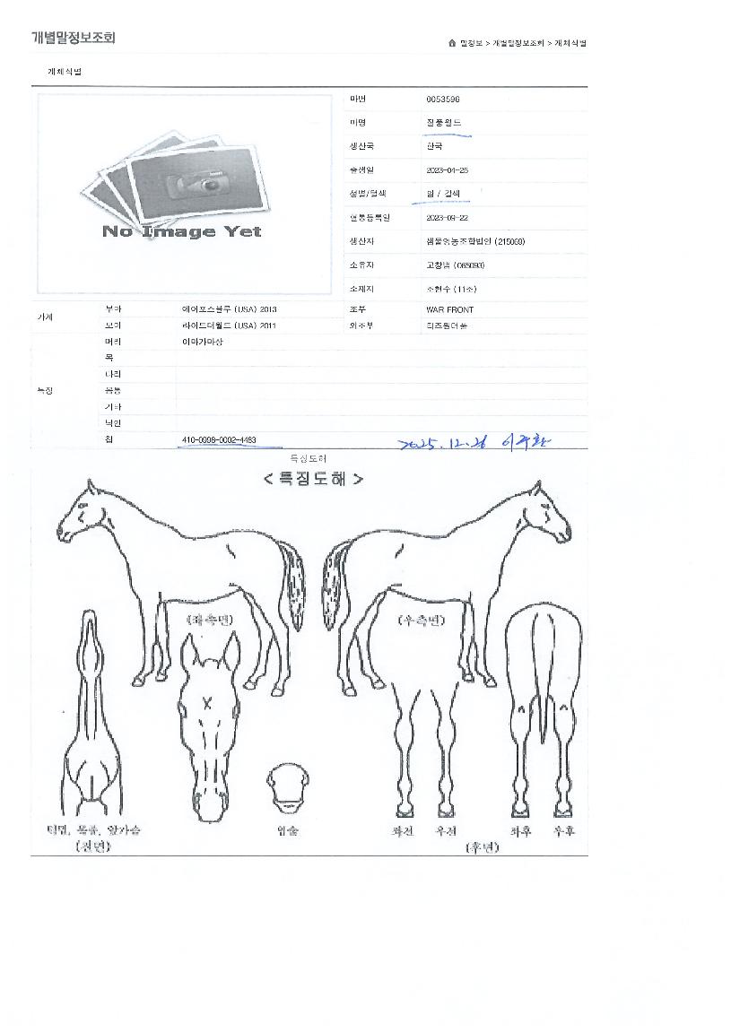 Áúdz¿ùµåÀÇ Ãø¸é,¿ì¸é,µÞ¸é,µÎ»ó,´Ù¸®ÀÇ Æ¯Â¡µµÇØ