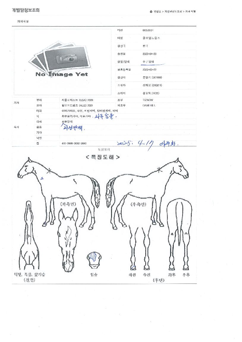 �۷ι��帲���� ����,���,�޸�,�λ�,�ٸ��� Ư¡����