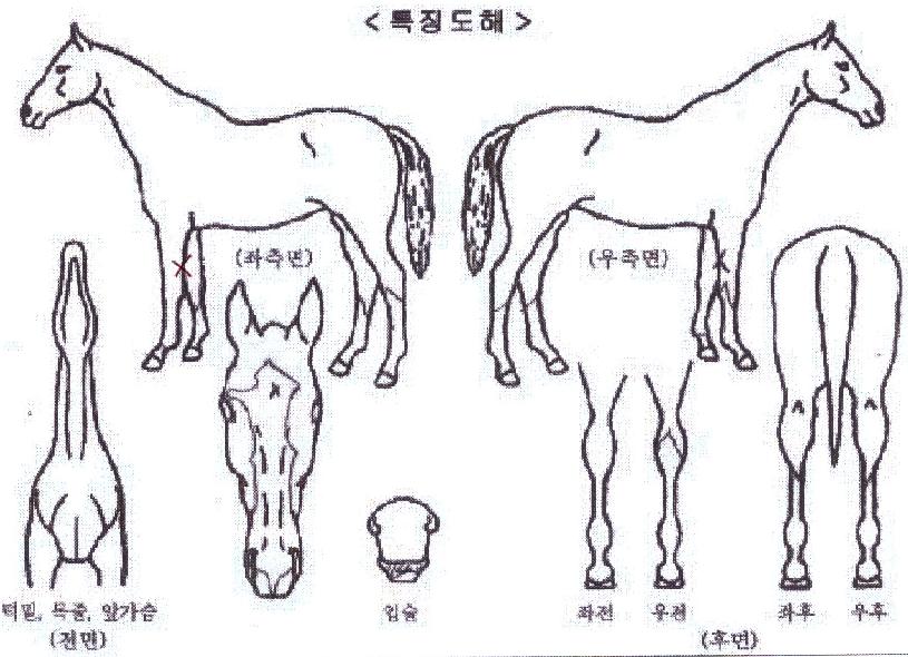 ÆÄ¿öÈ÷Æ®ÀÇ Ãø¸é,¿ì¸é,µÞ¸é,µÎ»ó,´Ù¸®ÀÇ Æ¯Â¡µµÇØ