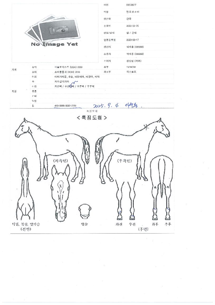 Áª¿ÀºêÁ¶ÀÌÀÇ Ãø¸é,¿ì¸é,µÞ¸é,µÎ»ó,´Ù¸®ÀÇ Æ¯Â¡µµÇØ