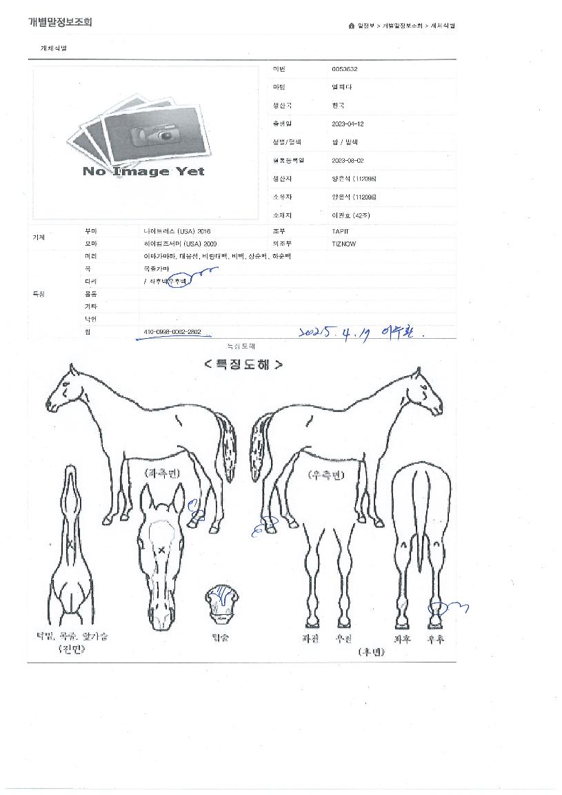¿¤ÇÇ´ÙÀÇ Ãø¸é,¿ì¸é,µÞ¸é,µÎ»ó,´Ù¸®ÀÇ Æ¯Â¡µµÇØ