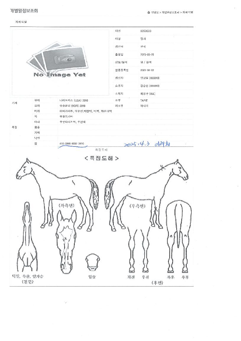 ·¦Ã³ÀÇ Ãø¸é,¿ì¸é,µÞ¸é,µÎ»ó,´Ù¸®ÀÇ Æ¯Â¡µµÇØ
