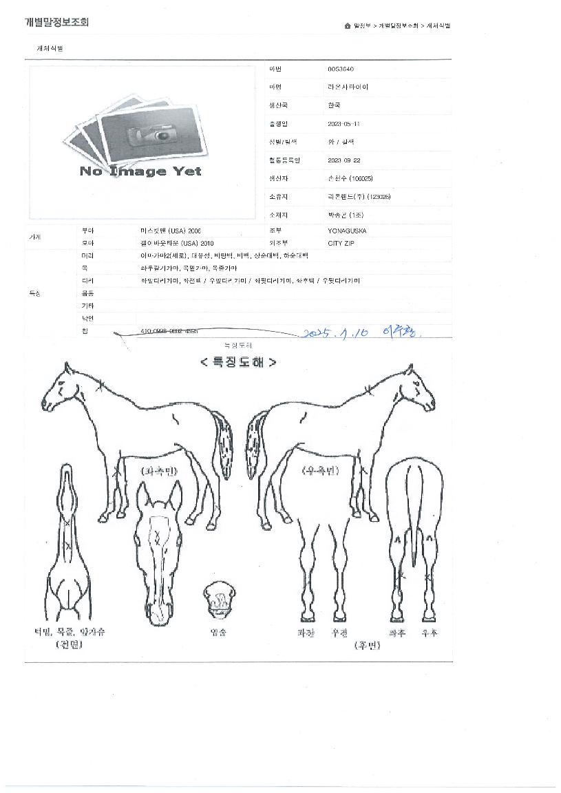 ��»����̾��� ����,���,�޸�,�λ�,�ٸ��� Ư¡����