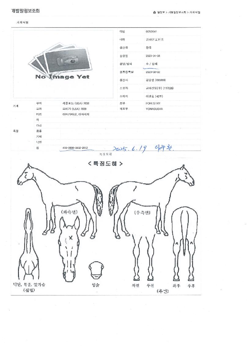 �ݾƿ�����Ʈ�� ����,���,�޸�,�λ�,�ٸ��� Ư¡����