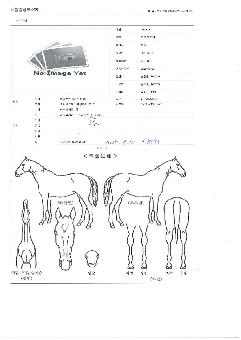 ��´������ ����,���,�޸�,�λ�,�ٸ��� Ư¡����