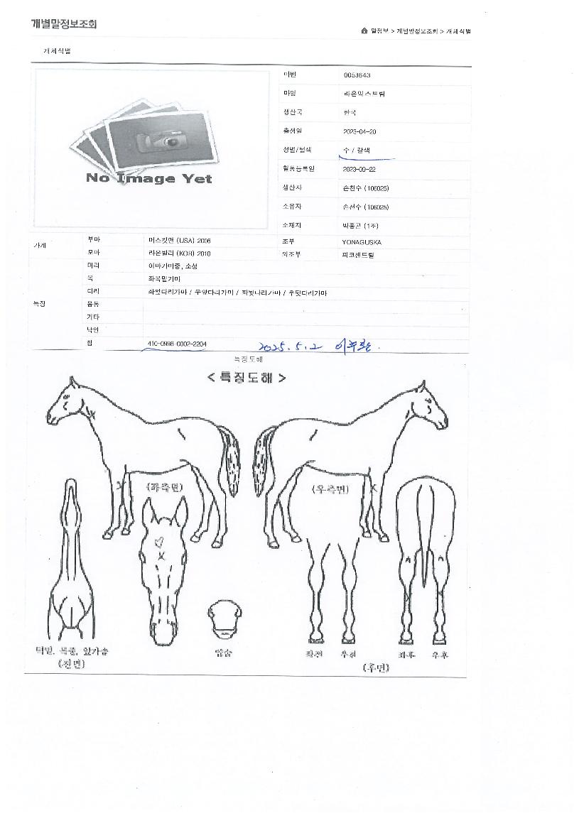 ¶ó¿ÂÀͽºÆ®¸²ÀÇ Ãø¸é,¿ì¸é,µÞ¸é,µÎ»ó,´Ù¸®ÀÇ Æ¯Â¡µµÇØ