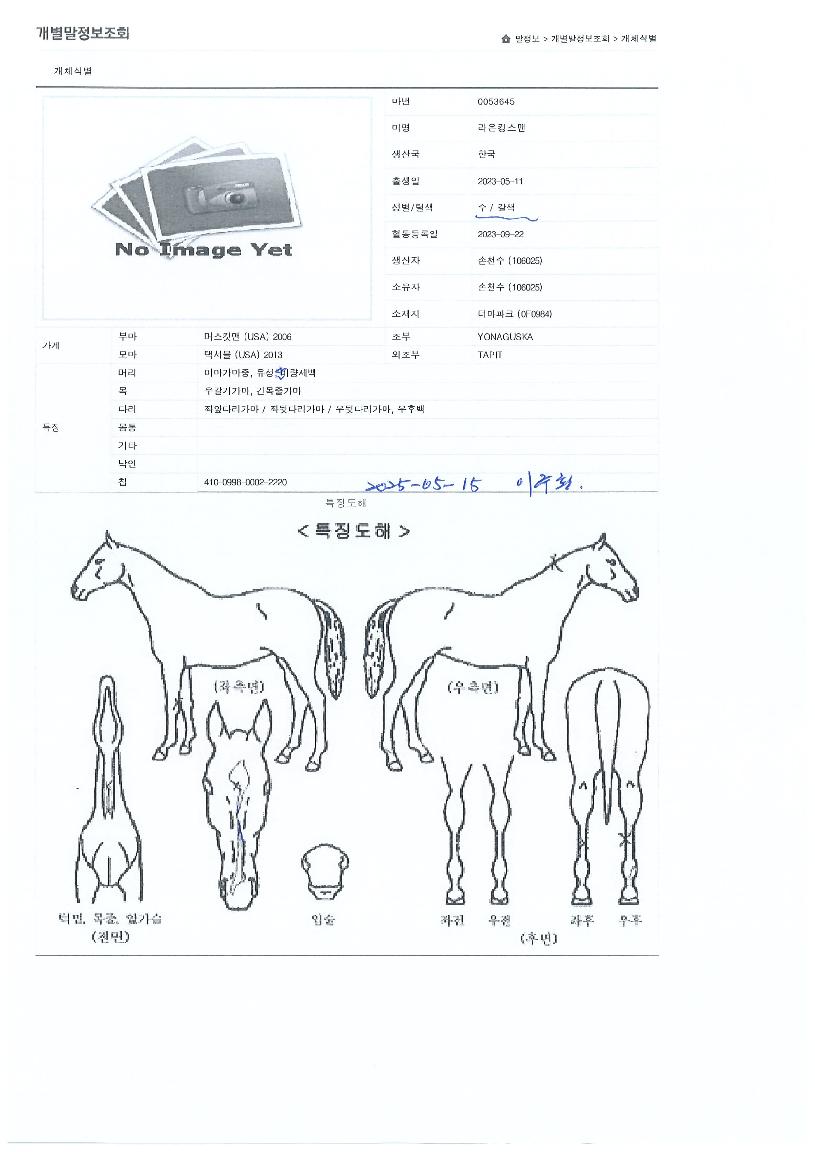 ¶ó¿ÂÅ·½º¸ÇÀÇ Ãø¸é,¿ì¸é,µÞ¸é,µÎ»ó,´Ù¸®ÀÇ Æ¯Â¡µµÇØ
