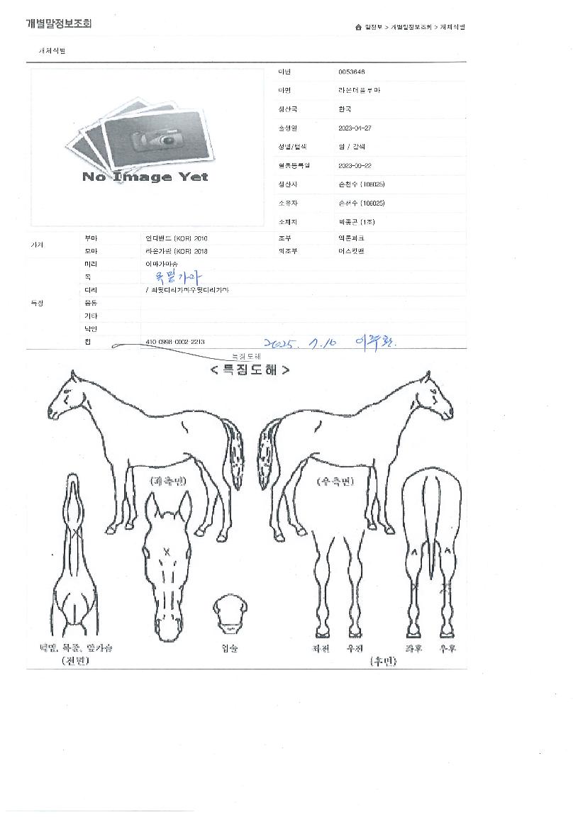 ¶ó¿Â´õÇ÷縶ÀÇ Ãø¸é,¿ì¸é,µÞ¸é,µÎ»ó,´Ù¸®ÀÇ Æ¯Â¡µµÇØ