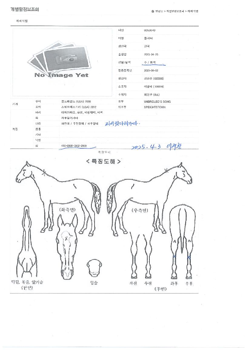 �÷����� ����,���,�޸�,�λ�,�ٸ��� Ư¡����