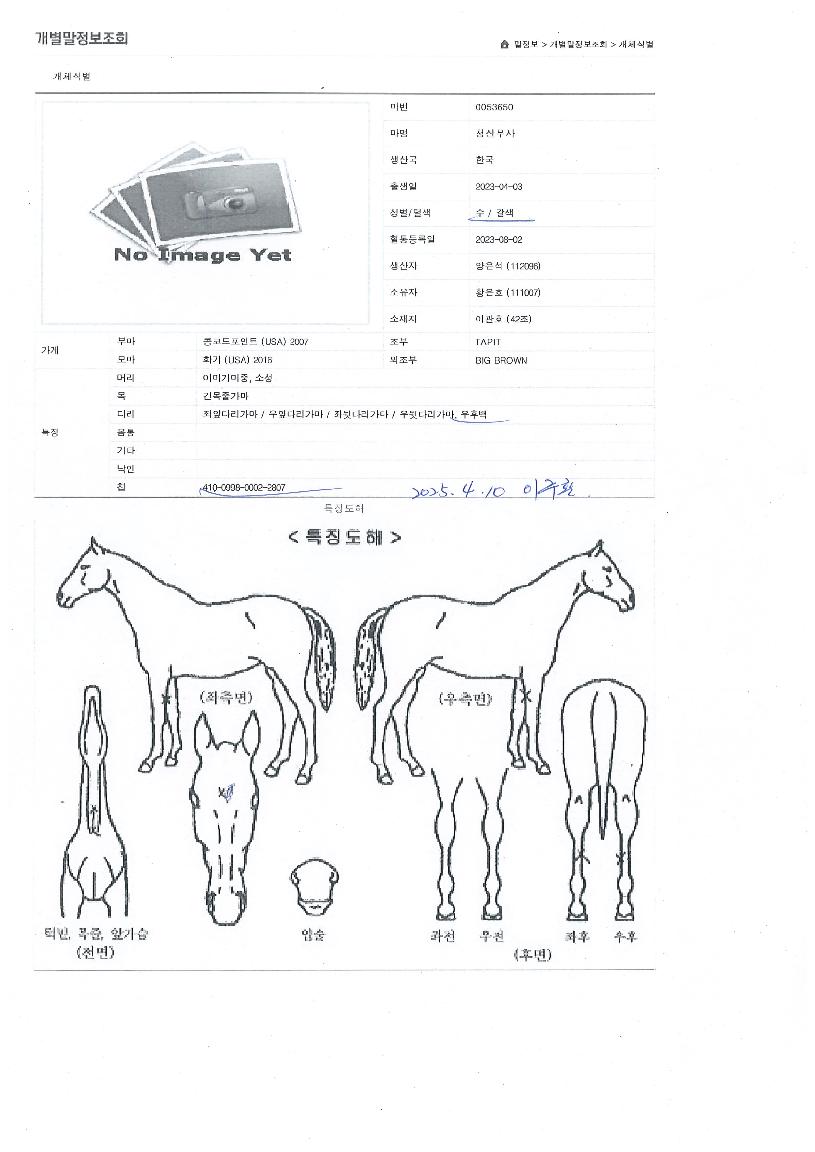 û�깫���� ����,���,�޸�,�λ�,�ٸ��� Ư¡����