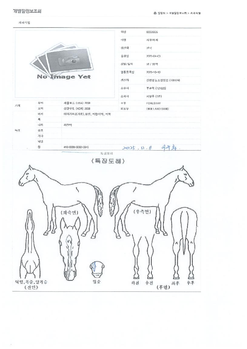 ���ο����� ����,���,�޸�,�λ�,�ٸ��� Ư¡����