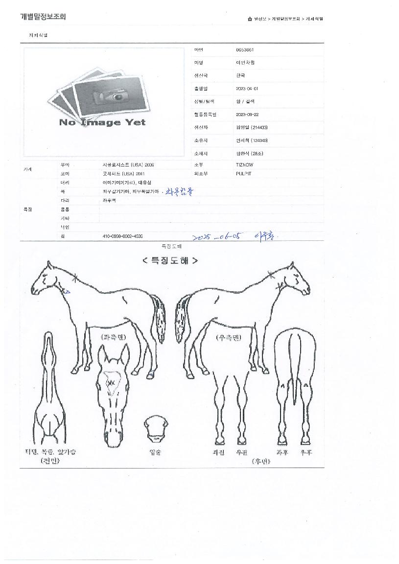 �̾������� ����,���,�޸�,�λ�,�ٸ��� Ư¡����