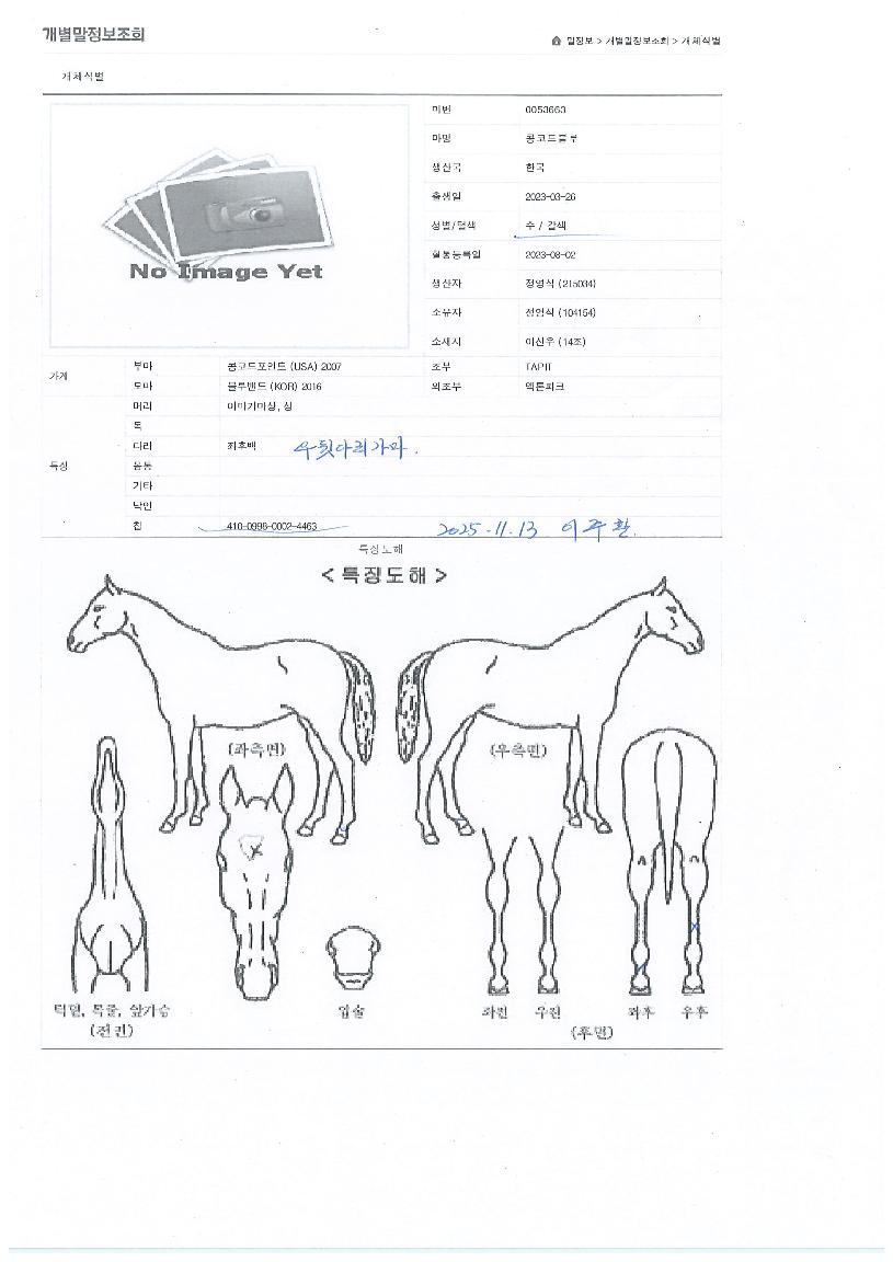 ÄáÄÚµåºí·çÀÇ Ãø¸é,¿ì¸é,µÞ¸é,µÎ»ó,´Ù¸®ÀÇ Æ¯Â¡µµÇØ