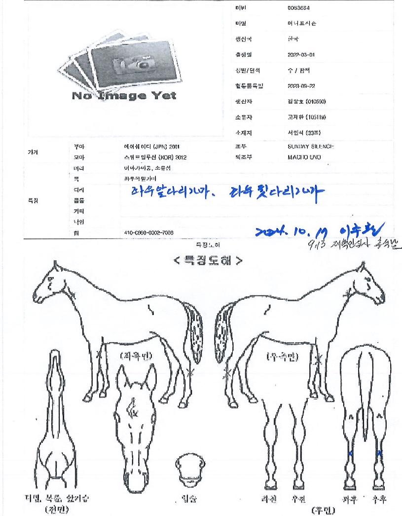 ¸Ó´ÏÆ÷½ÃÁðÀÇ Ãø¸é,¿ì¸é,µÞ¸é,µÎ»ó,´Ù¸®ÀÇ Æ¯Â¡µµÇØ