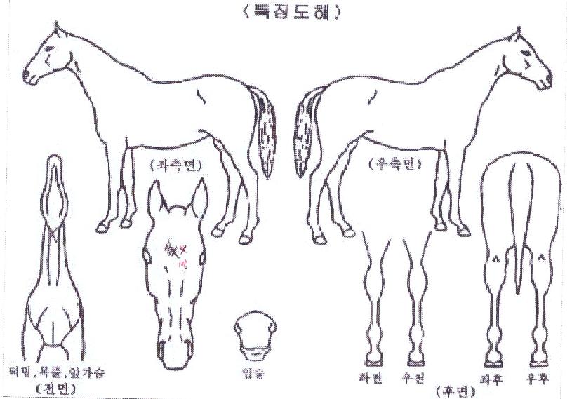 �������� ����,���,�޸�,�λ�,�ٸ��� Ư¡����