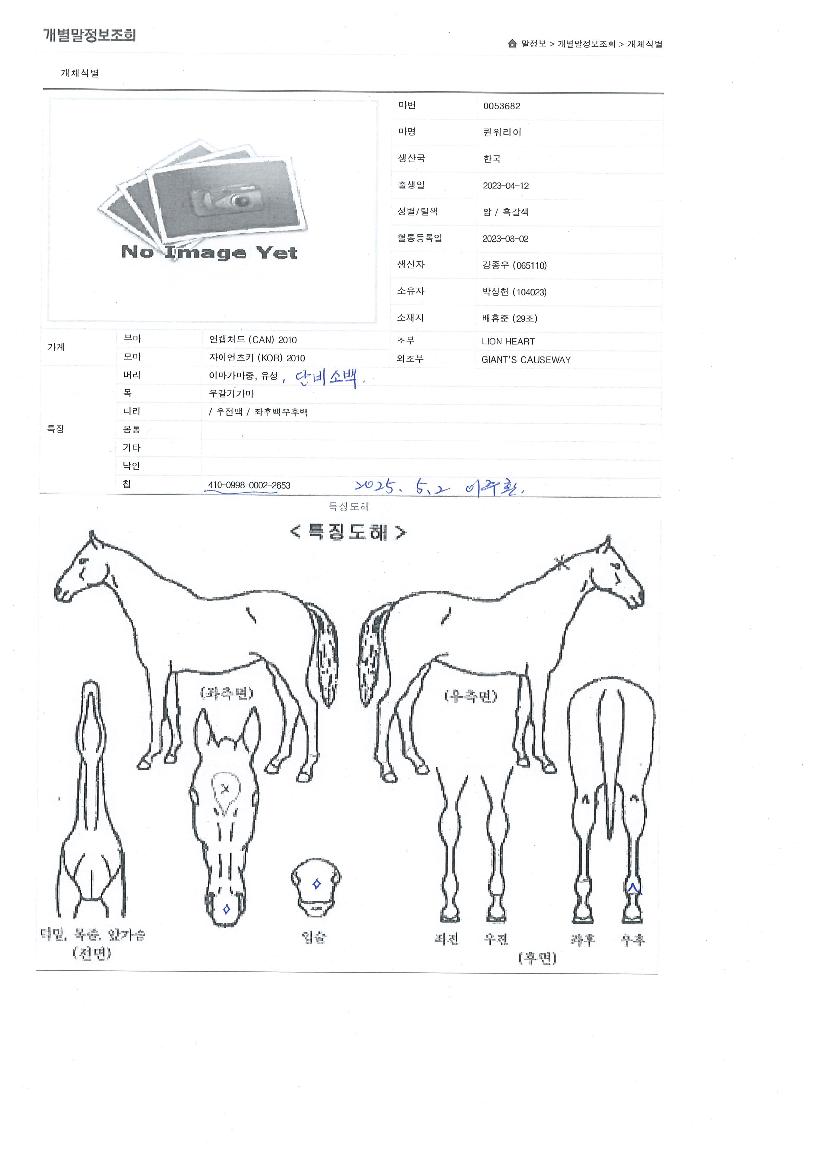 Äý¿ö¸®¾îÀÇ Ãø¸é,¿ì¸é,µÞ¸é,µÎ»ó,´Ù¸®ÀÇ Æ¯Â¡µµÇØ