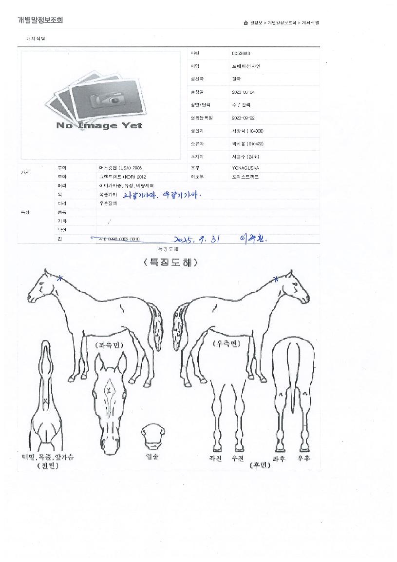 Æ÷¿¡¹ö¼±»þÀÎÀÇ Ãø¸é,¿ì¸é,µÞ¸é,µÎ»ó,´Ù¸®ÀÇ Æ¯Â¡µµÇØ