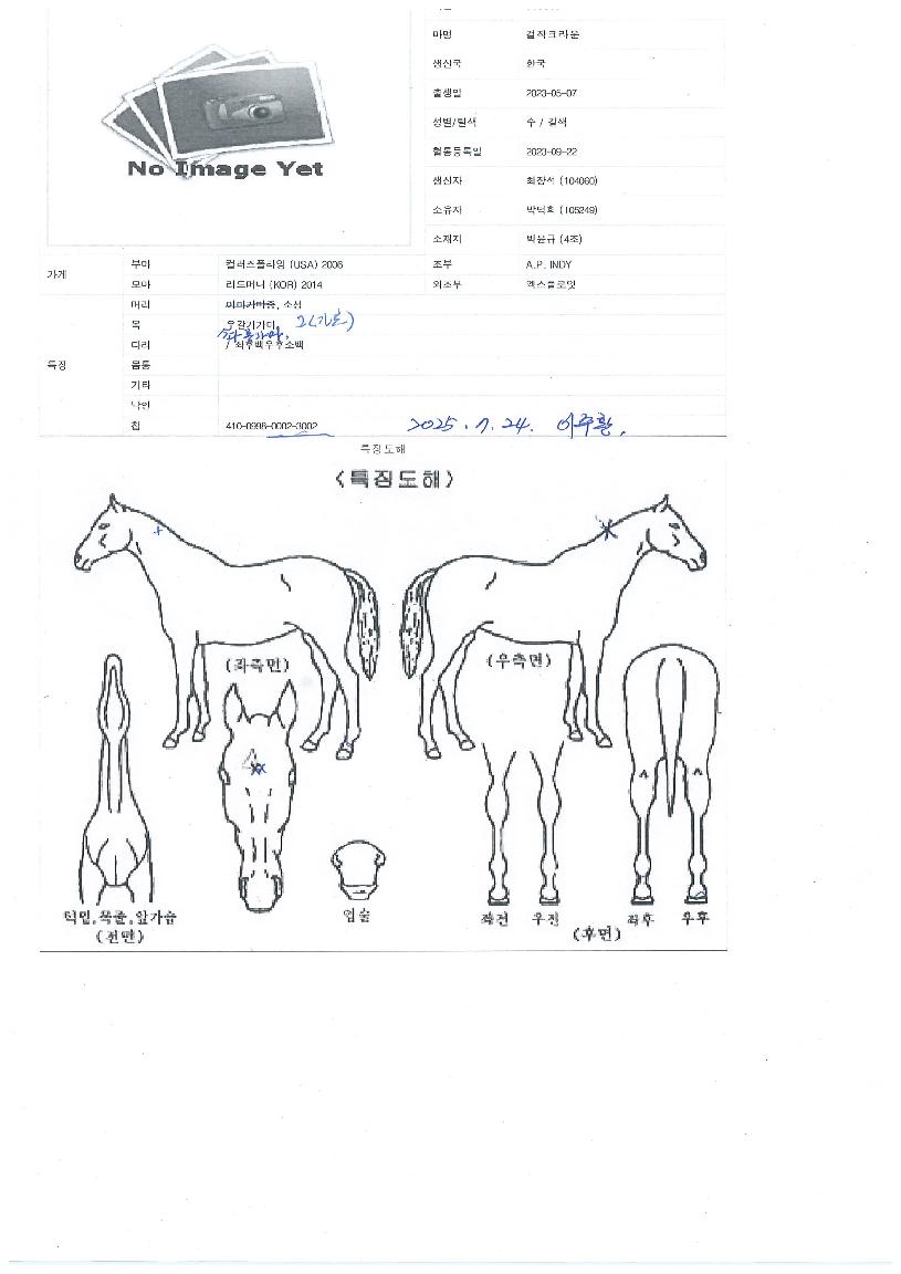 °ÉÀÛÅ©¶ó¿îÀÇ Ãø¸é,¿ì¸é,µÞ¸é,µÎ»ó,´Ù¸®ÀÇ Æ¯Â¡µµÇØ