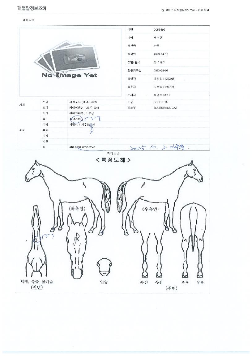 ÄÉÀÌÄýÀÇ Ãø¸é,¿ì¸é,µÞ¸é,µÎ»ó,´Ù¸®ÀÇ Æ¯Â¡µµÇØ
