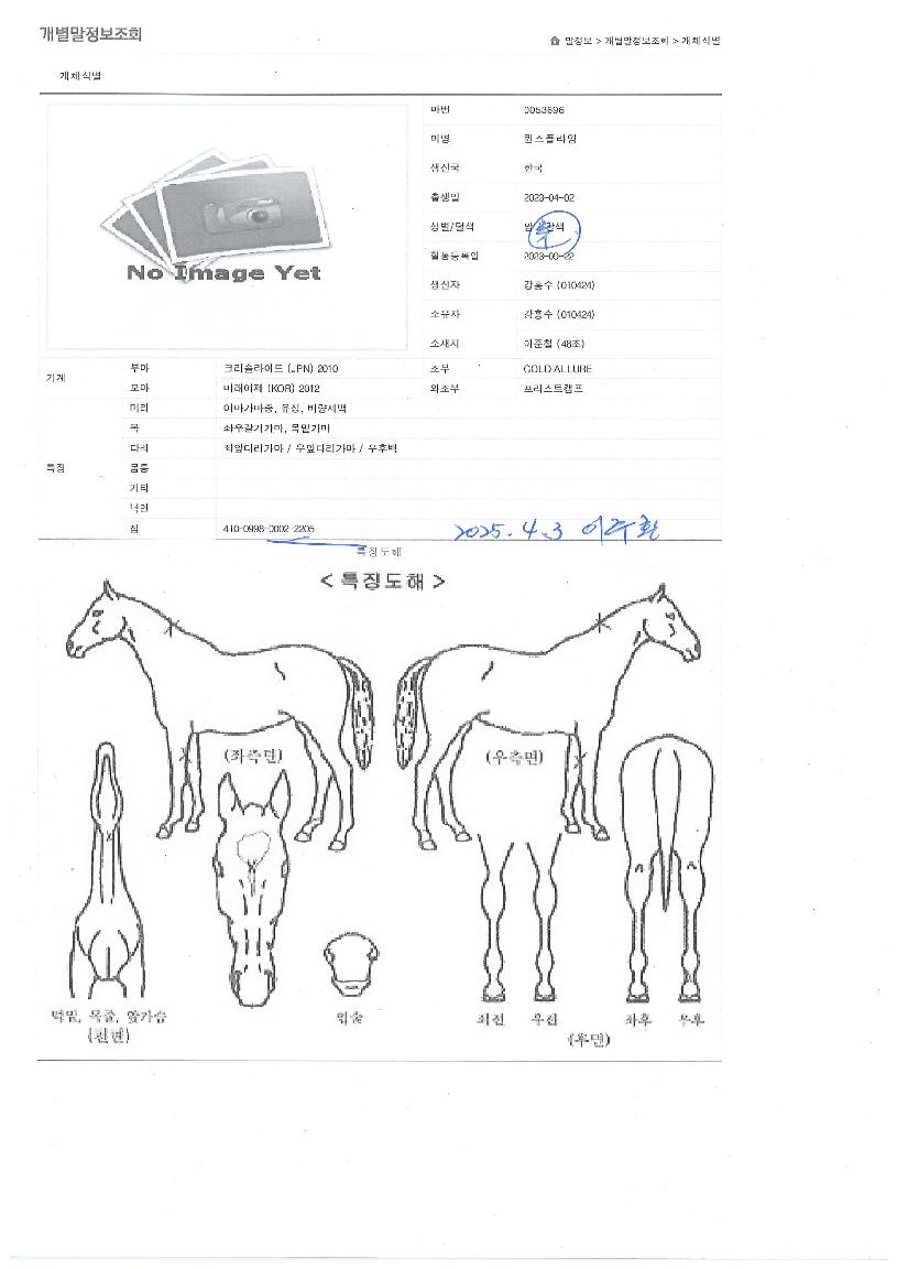 �����ö����� ����,���,�޸�,�λ�,�ٸ��� Ư¡����