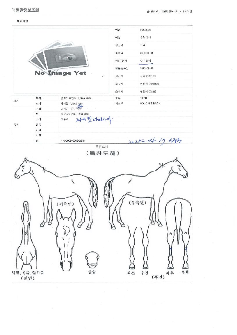 ����Ÿ���� ����,���,�޸�,�λ�,�ٸ��� Ư¡����