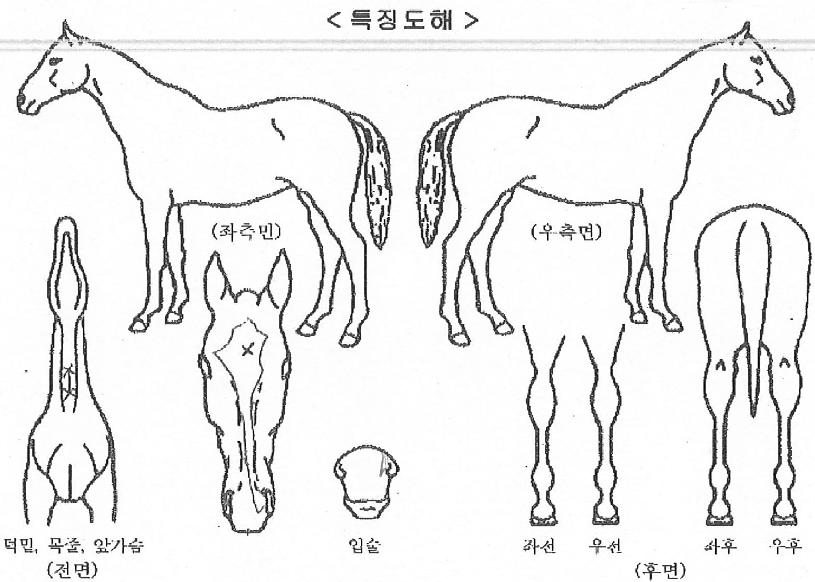 ȭ��Ʈ������ ����,���,�޸�,�λ�,�ٸ��� Ư¡����