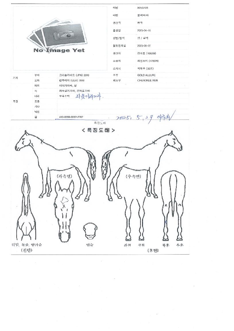 ºí·¢¸¶¸¶ÀÇ Ãø¸é,¿ì¸é,µÞ¸é,µÎ»ó,´Ù¸®ÀÇ Æ¯Â¡µµÇØ