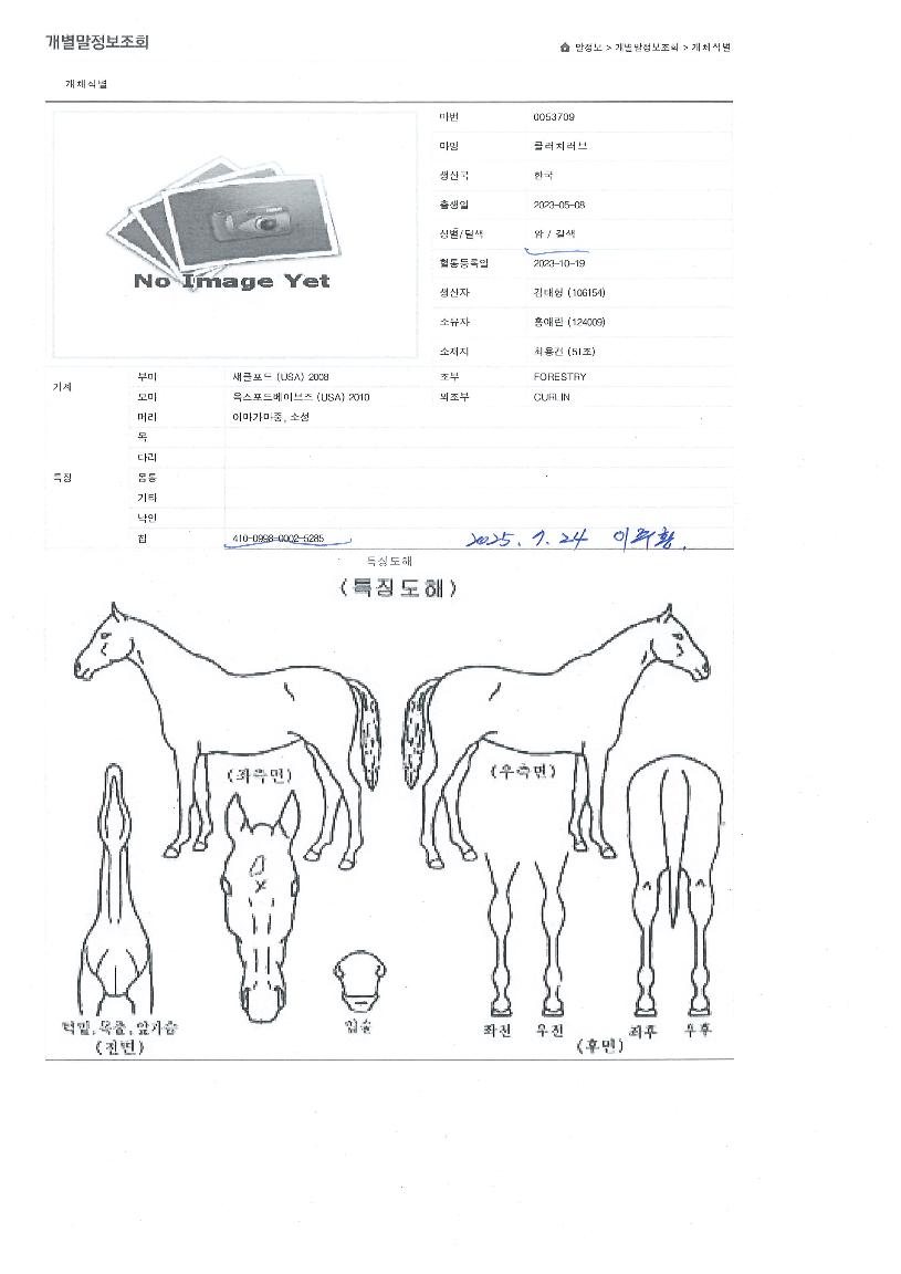 Ŭ·¯Ä¡·¯ºêÀÇ Ãø¸é,¿ì¸é,µÞ¸é,µÎ»ó,´Ù¸®ÀÇ Æ¯Â¡µµÇØ