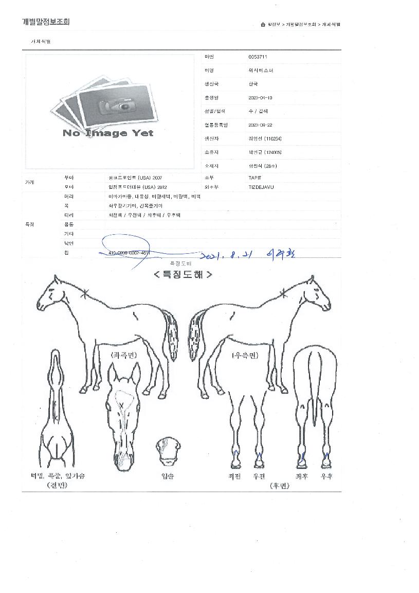 ���ø������� ����,���,�޸�,�λ�,�ٸ��� Ư¡����