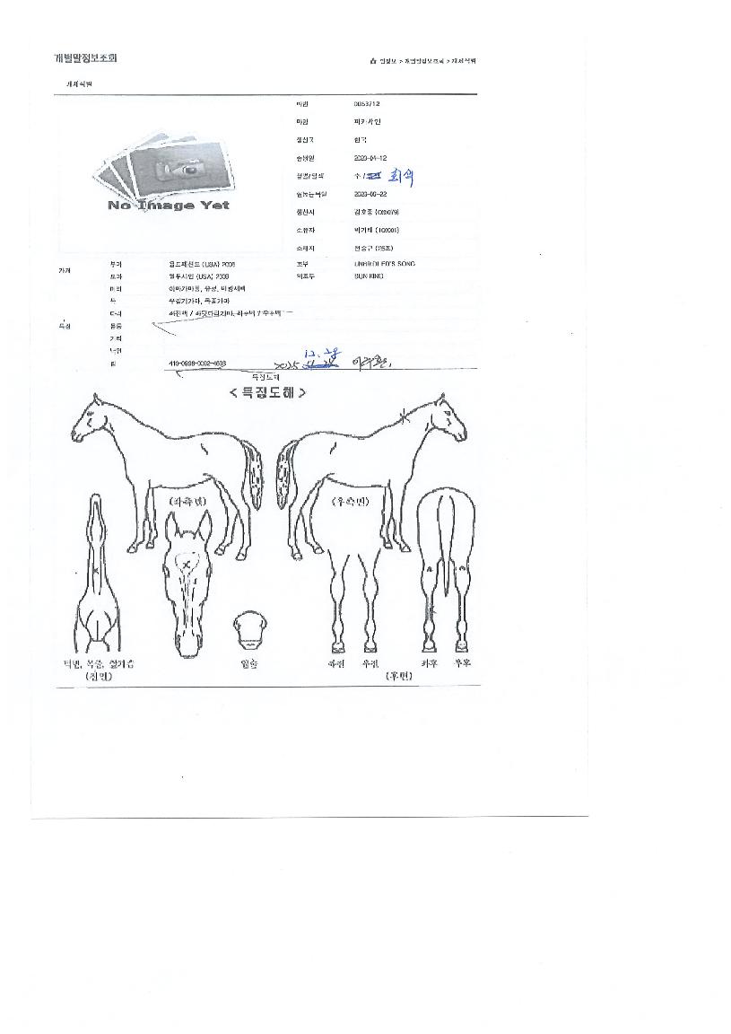 ��ī������ ����,���,�޸�,�λ�,�ٸ��� Ư¡����