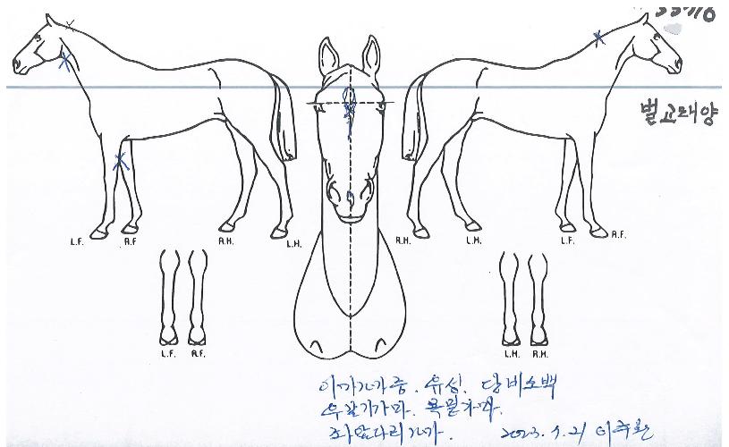 ¹ú±³Å¾çÀÇ Ãø¸é,¿ì¸é,µÞ¸é,µÎ»ó,´Ù¸®ÀÇ Æ¯Â¡µµÇØ