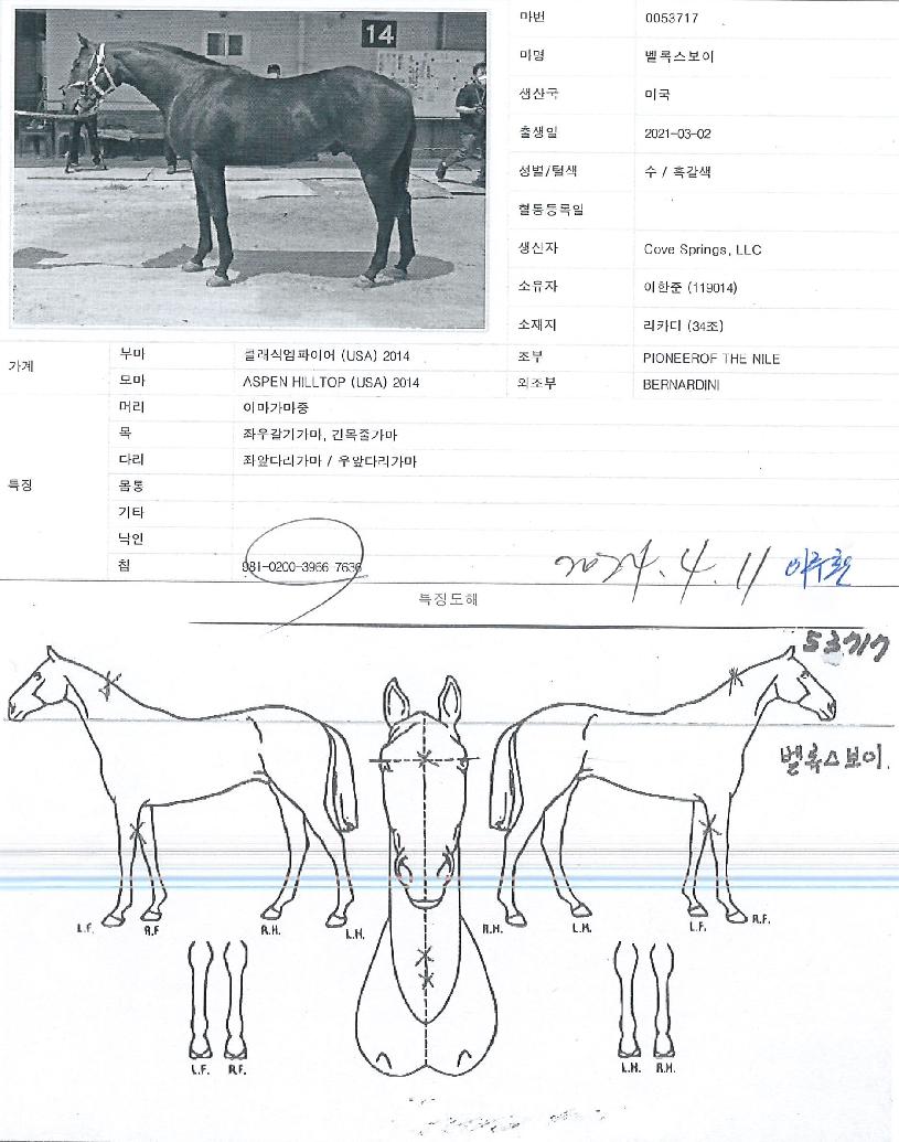 ���Ͻ������� ����,���,�޸�,�λ�,�ٸ��� Ư¡����