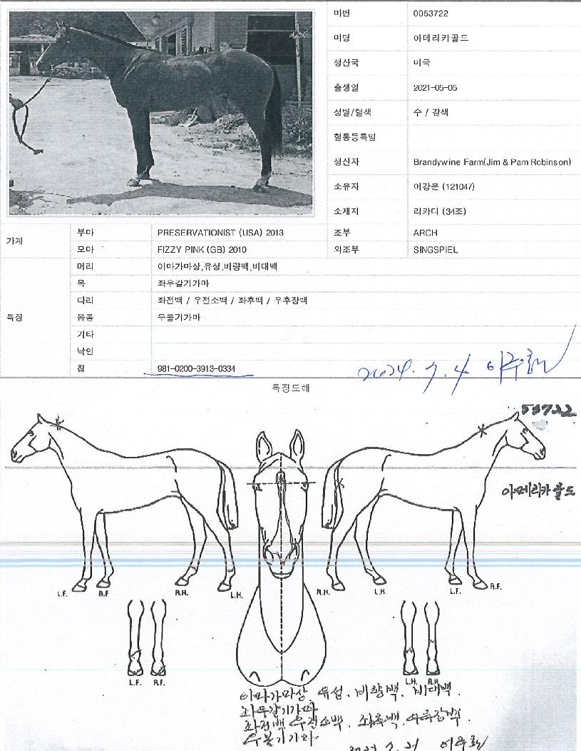 ¾Æ¸Þ¸®Ä«°ñµåÀÇ Ãø¸é,¿ì¸é,µÞ¸é,µÎ»ó,´Ù¸®ÀÇ Æ¯Â¡µµÇØ