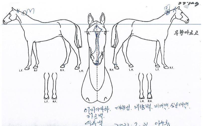 ���ѾƸ����� ����,���,�޸�,�λ�,�ٸ��� Ư¡����