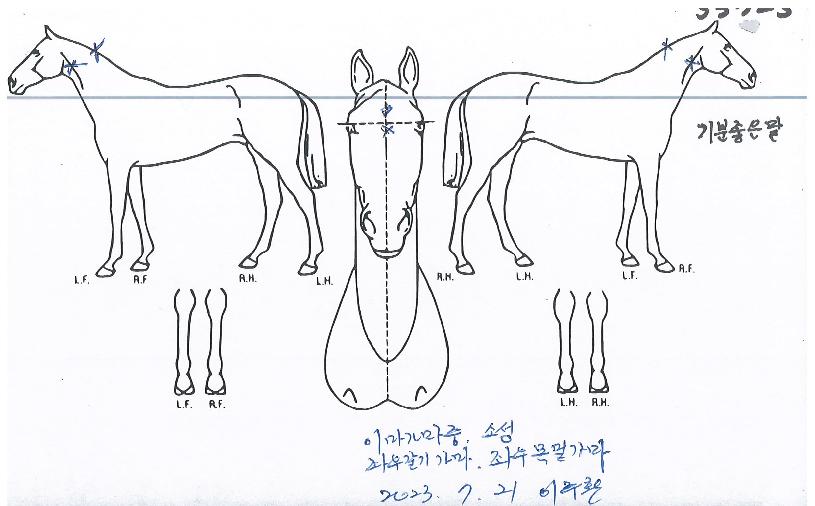 ����������� ����,���,�޸�,�λ�,�ٸ��� Ư¡����