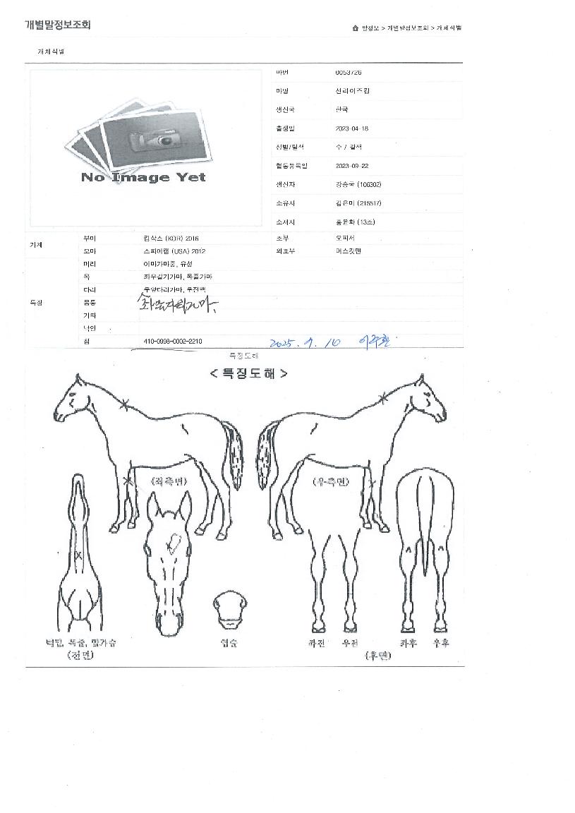 ��������ŷ�� ����,���,�޸�,�λ�,�ٸ��� Ư¡����