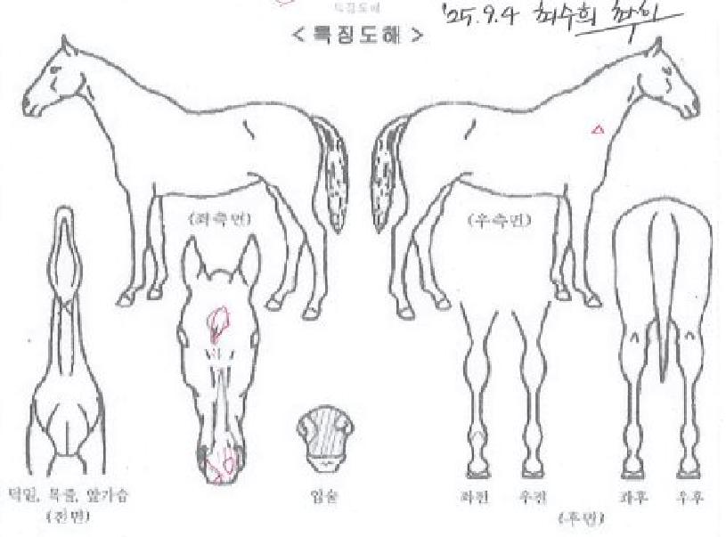 ����Ŀ�ּ��� ����,���,�޸�,�λ�,�ٸ��� Ư¡����