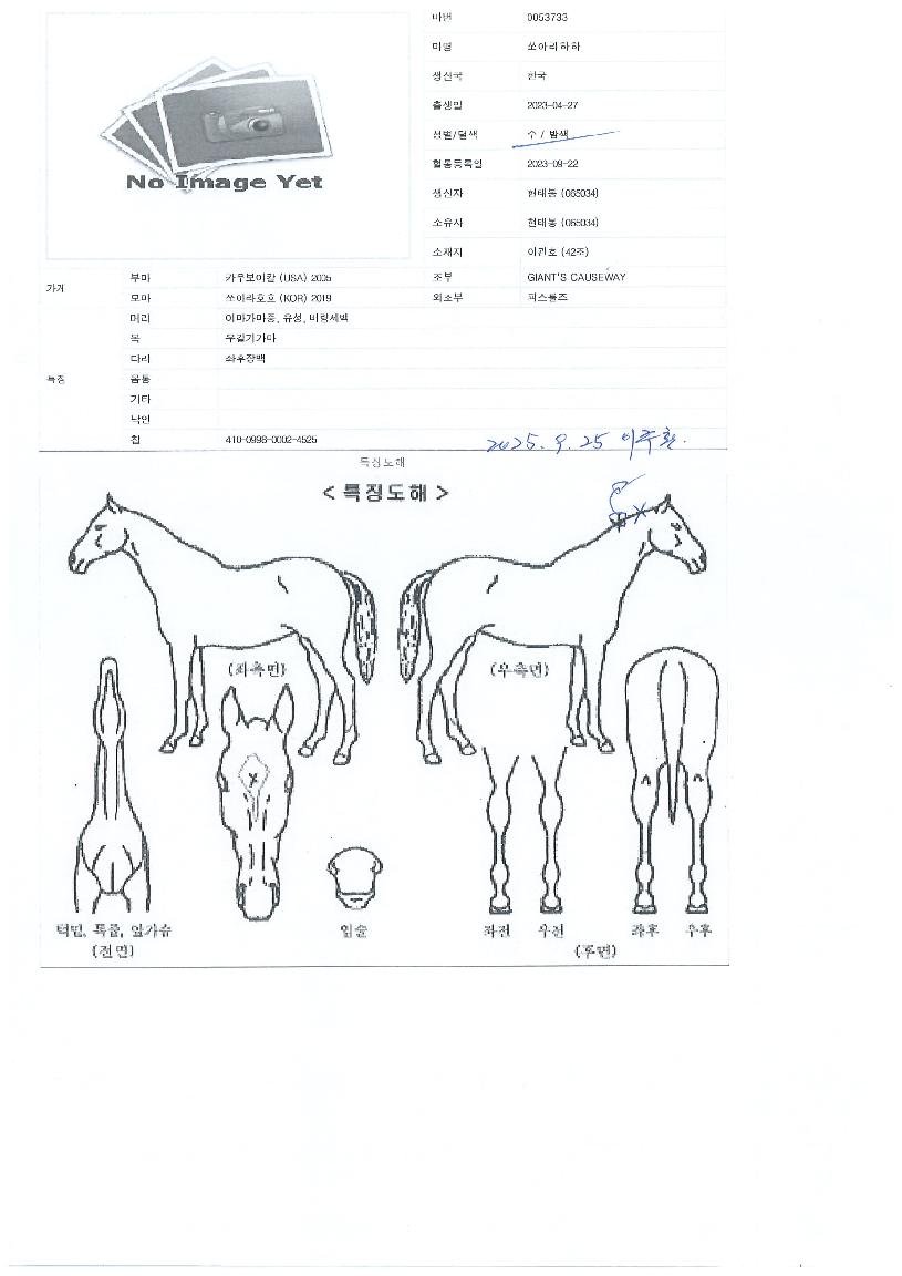 ��ƶ������� ����,���,�޸�,�λ�,�ٸ��� Ư¡����