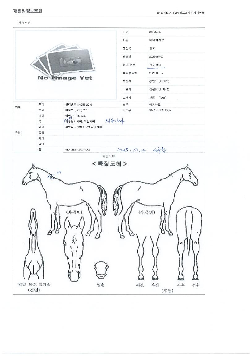 ���ġ�ø��� ����,���,�޸�,�λ�,�ٸ��� Ư¡����