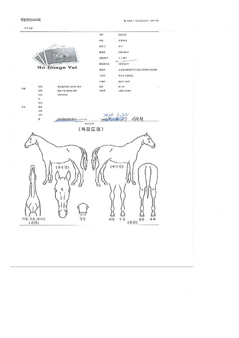 ´ëÇÑÆÄ¿öÀÇ Ãø¸é,¿ì¸é,µÞ¸é,µÎ»ó,´Ù¸®ÀÇ Æ¯Â¡µµÇØ