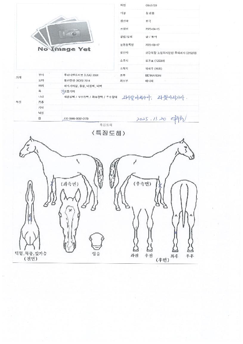 û°º½ÀÇ Ãø¸é,¿ì¸é,µÞ¸é,µÎ»ó,´Ù¸®ÀÇ Æ¯Â¡µµÇØ