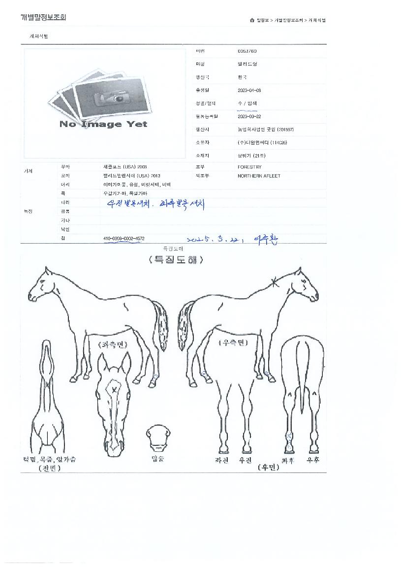 ¹ë¸®µå¿µÀÇ Ãø¸é,¿ì¸é,µÞ¸é,µÎ»ó,´Ù¸®ÀÇ Æ¯Â¡µµÇØ