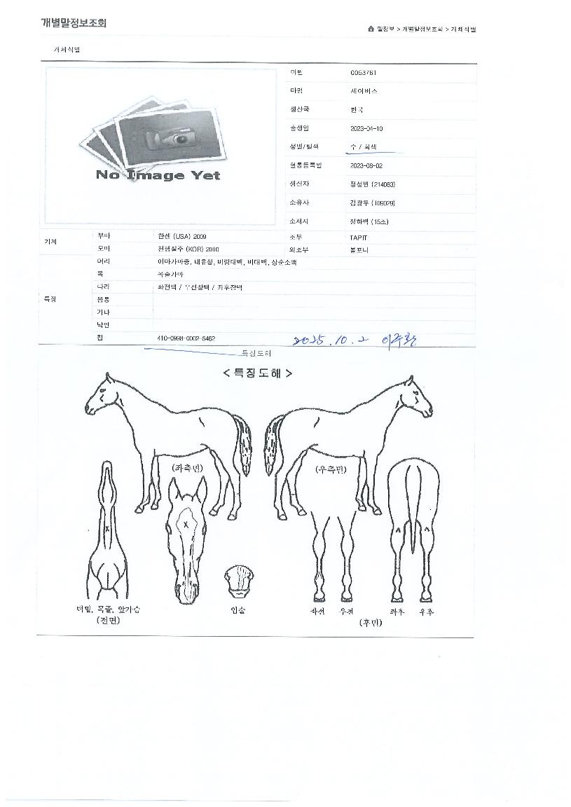 ���̹����� ����,���,�޸�,�λ�,�ٸ��� Ư¡����