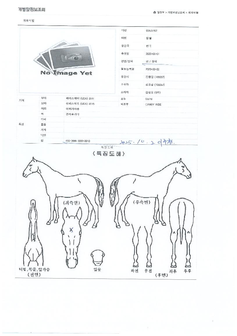 û���� ����,���,�޸�,�λ�,�ٸ��� Ư¡����