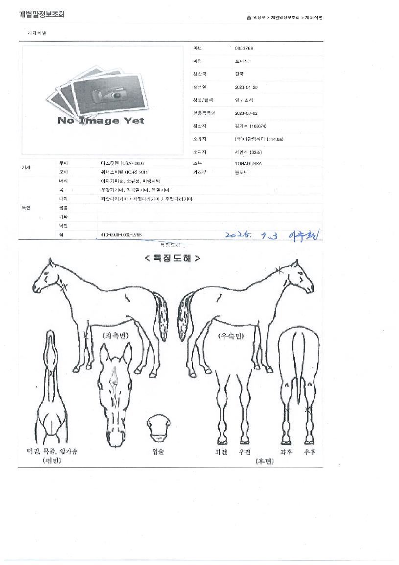 Æ÷¸¶µåÀÇ Ãø¸é,¿ì¸é,µÞ¸é,µÎ»ó,´Ù¸®ÀÇ Æ¯Â¡µµÇØ