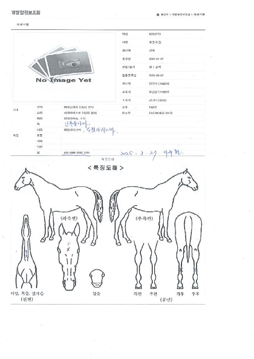 ��Ʈ������ ����,���,�޸�,�λ�,�ٸ��� Ư¡����