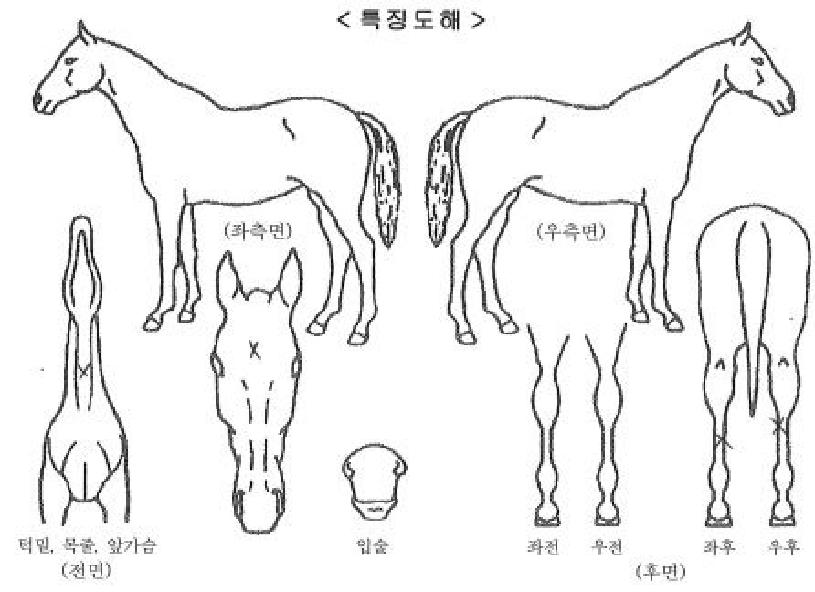 ���ī���� ����,���,�޸�,�λ�,�ٸ��� Ư¡����