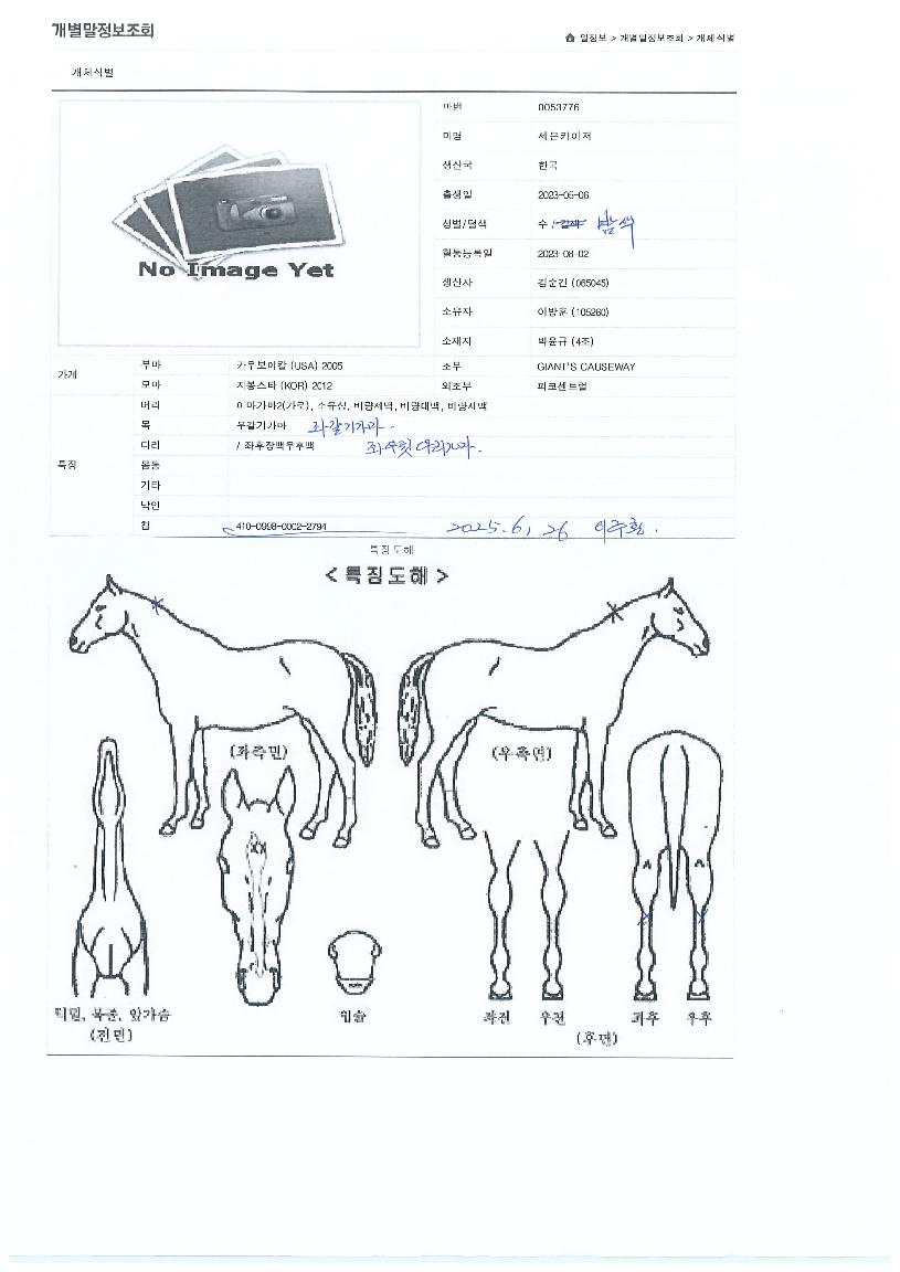 ¼¼ºìÄ«ÀÌÀúÀÇ Ãø¸é,¿ì¸é,µÞ¸é,µÎ»ó,´Ù¸®ÀÇ Æ¯Â¡µµÇØ